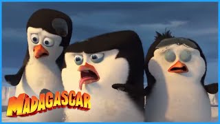 DreamWorks Madagascar  Ew Thats Disgusting  Penguins of Madagascar Clip [upl. by Emmerie162]