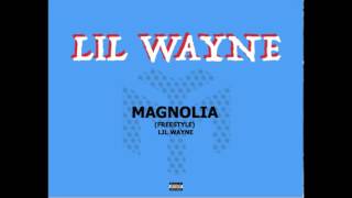 Lil Wayne  Magnolia Freestyle [upl. by Jabin497]