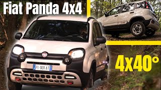 Fiat Panda 4x4 4x40° Limited Edition [upl. by Casilda]