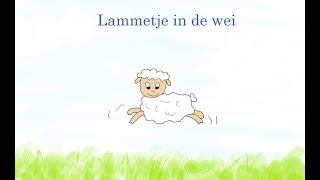 Lammetje in de wei [upl. by Sotsirhc758]