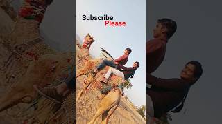 zulum kar daliyo sitam kar daliyo viral song subscribe ytshorts youtubeshorts 😍 [upl. by Ynavoeg]