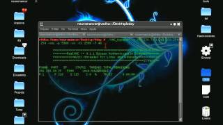 「Neuromancer」 VNC authentication bypass  netcat shell [upl. by Noied156]