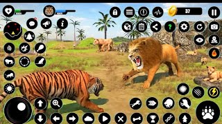 🦁lion vs tiger game لائن ورسز ٹائیگر گیم लायनवीएस टाइगर🐅 [upl. by Riccio]