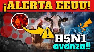 ¡ALERTA GRIPE AVIAR AVANZA EN EEUU ¿PRÓXIMA PANDEMIA [upl. by Center]