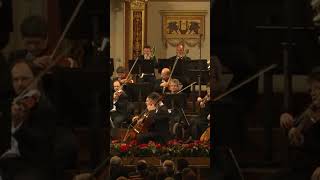 Johannes Brahms Hungarian Dance No5 [upl. by Animar]