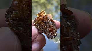 Wulfenite flowergemstone fineminerals wulfenite mineralspecimen [upl. by Revilo421]