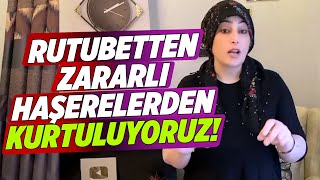 Rutubetten ve Zararlı Haşerelerden Kurtuluyoruz  Temizlik Kraliçesi [upl. by Donnie]