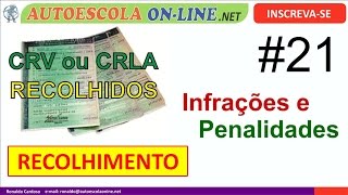 Infrações e Penalidades  Recolhimento Documento Veículo CRV e CRLV  Media Administrativa [upl. by Ylehsa16]