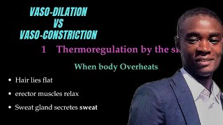 Homeostasis Vasodilation Vs Vasoconstriction [upl. by Eerot]