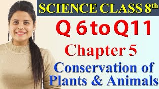 Q6 to Q11  Chapter 5  Conservation of Plants and Animals  Science Class 8 CBSE [upl. by Ardith]