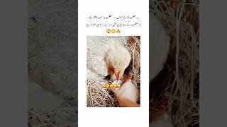 Be Murad Hi Morta Hai 😱🔥 shorts youtubeshorts poetrystatus [upl. by Anaitat]