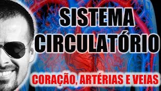 Sistema Circulatório  O coração as artérias e as veias  Anatomia Humana  VideoAula 003 [upl. by Ynelram312]