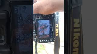 Nikon D7000 18 140 MM lens photoshoot dslrcamera camera 📸ytshortsvideo nikond7000 shorts short [upl. by Archy]