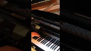 Avicii  Levels Benedikt Waldheuer Piano piano music avicii fy cover song klavier levels [upl. by Wiltz746]