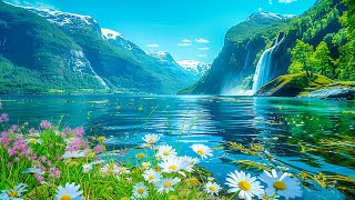 Beautiful Relaxing Music 🌿 Stop Overthinking Stress Relief Music 🌿 Gentle Music [upl. by Nalced761]