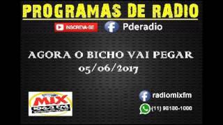 Agora o Bicho Vai Pegar 05062017 [upl. by Airednaxela]