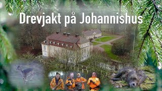 Drevjakt på Johannishus Driven hunts in Sweden [upl. by Milon]