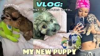 VLOG GETTING A NEW MALTIPOO PUPPY  FIRST 72HRS PUPPY PREP  VET VISIT [upl. by Eiderf]