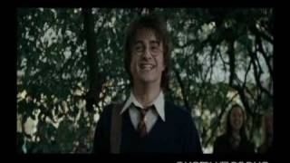 Harry Potter  FUN Song [upl. by Orvan]