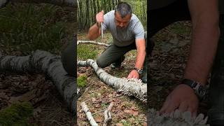 Survival Skills Fire Starting with Wet Birch Bark and Magnesium survival camping lifehacks [upl. by Hagai]