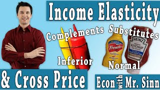 Cross Price Elasticity amp Income Elasticity [upl. by Navar]