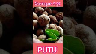 PUTU MASHROOMPUTU ଛତି ର ଗଜବ ସୁଆଦ୍ kg 1200 1000 ରେ ମିଲସି CHATTISGARH ରେyoutube putu [upl. by Kyrstin]