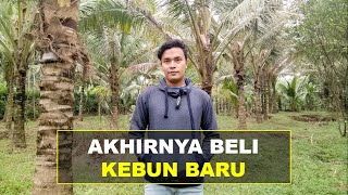 Investasi Kebun Kelapa Untuk Di Sadap Nirahnya Menjadi Gula Merah  Ep 56 Pertanian [upl. by Aleris]