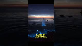 This Lake Glows in the Dark 🌌 lake trending facts [upl. by Ailic558]