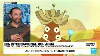 Frailejón Ernesto Pérez ¿Cuál es la importancia de los frailejones en los ecosistemas [upl. by Hawkie675]