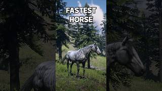 999 Doesnt know this  FASTEST Horse RDR2 [upl. by Adnik]