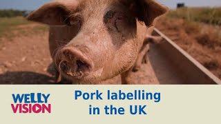 Pigs Part 3 Pork Labelling In The UK  Welly Vision [upl. by Natelson807]