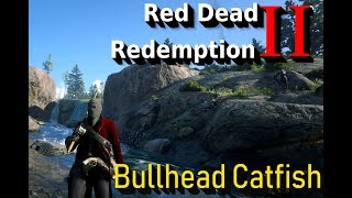 Where to find Bullhead catfish in Red Dead Redemption 2 [upl. by Kenon650]