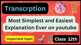 Transcription  Gene expression  Transcription in prokaryotes and eukaryotes class 12  UrduHindi [upl. by Eudoca]