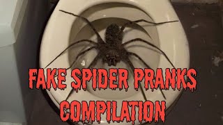 Spider Filter on Snapchat Funny or Cruel  BiteSize News with Sam Jo  The Straits Times [upl. by Halet720]