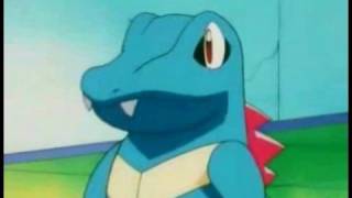 Totodile 3 3 [upl. by Whitby]