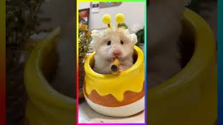 Brave Hamster vs Bamboo Worm Feast 😱Hamster SyrianHamster PetVideoCutePets AnimalComedy [upl. by Darnall603]