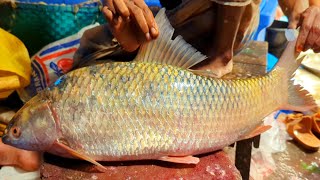 Amazing Giant Mrigal Fish Cutting amp Cleaning Skills In Bangladesh Fish Market By Expert Cutter [upl. by Fleeta573]