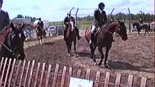 Blackstock Fair  1994wmv [upl. by Aniratac566]