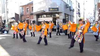 Japanese Yosakoi dance [upl. by Stilla]