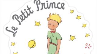 Le Petit Prince  Chapitre 6  quotLes Couchers de Soleilquot [upl. by Brownson779]