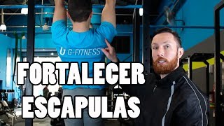 LOS MEJORES EJERCICIOS PARA FORTALECER ESCAPULAS [upl. by Zerla]