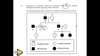 GENETICS QUESTION PEDIGREE GRADE 12 LIFE SCIENCES THUNDEREDUC BY MSAIDI [upl. by Pega374]