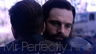 ► Steve amp Bucky  Mr Perfectly Fine [upl. by Adekan]