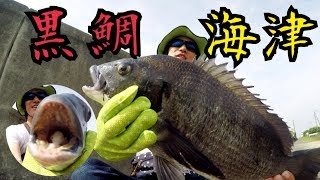 黒鯛釣りとキビレ釣り。あきら流釣術です。 [upl. by Farris]