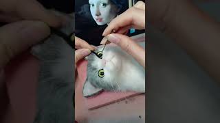 New Work Needle Felted Cat Projects Girl with a Pearl Earring  Needle Felting ASMR [upl. by Dawaj]