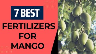 Increase Fruit Production in Mango [upl. by Jeaz]