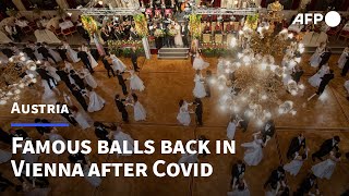 Vienna ball season back with a bang  AFP [upl. by Yrolg]