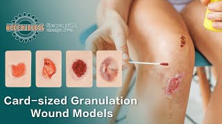 Cardsized Granulation Wound Simulation Models [upl. by Monique]