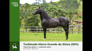 Lote 14  Turbinado Morro Grande da Zizica 33 [upl. by Lorien995]