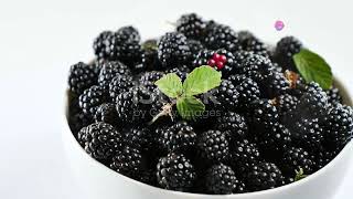 ELDERBERRIES AND BLACKBERRIES HEALING PROPERTIES superfood natural friut [upl. by Attecnoc434]